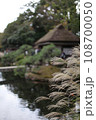 すすきと日本庭園 108700050