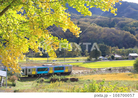 水郡線「陽ざし浴びたイチョウの葉と田舎の景色を走る列車」 108700057