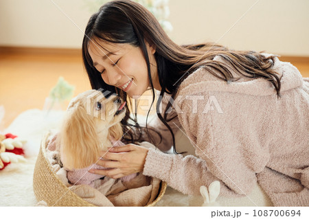 ペット犬と過ごすクリスマス 108700694