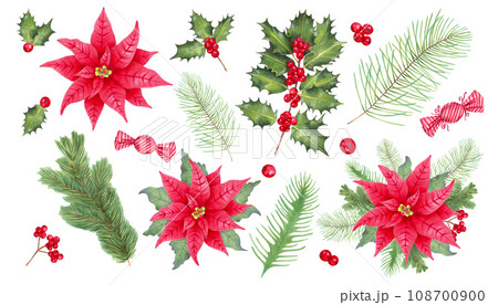 Christmas collection with poinsettia flowers, holly branches, berries, pine, spruce, caramel candy. Holiday clipart for the New Year, Christmas. Marker watercolor illustration.Hand drawn isolated art 108700900