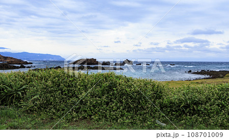静岡県下田市瓜木崎の晩秋 静岡県下田市瓜木崎の晩秋 108701009