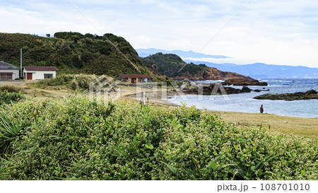 静岡県下田市瓜木崎の晩秋 108701010