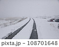 雪餅 108701648
