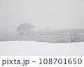 雪の湖岸風景 108701650