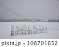 枇杷湖岸雪風景 108701652