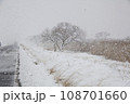 雪景色。台中の湖の土手の枯草に雪 108701660