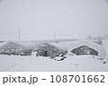 ビニールハウスに雪降る 108701662