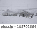 ビニールハウスに雪 108701664