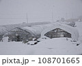 ビニールハウスに雪降る 108701665
