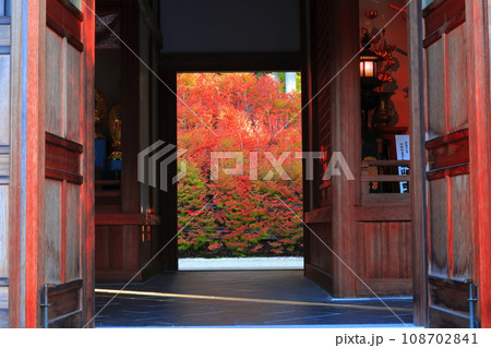 【福岡県】呑山観音寺の百観音堂のドウダンツツジ 108702841