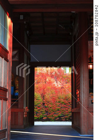 【福岡県】呑山観音寺の百観音堂のドウダンツツジ 108702842