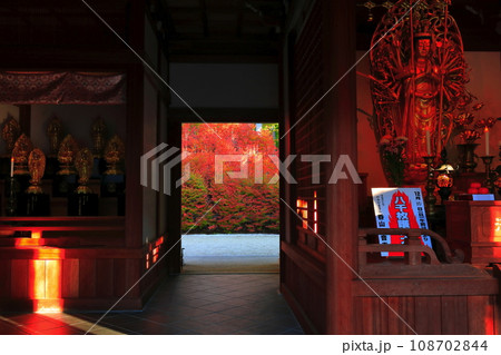 【福岡県】呑山観音寺の百観音堂のドウダンツツジ 108702844