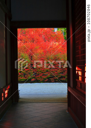 【福岡県】呑山観音寺の百観音堂のドウダンツツジ 【福岡県】呑山観音寺の百観音堂のドウダンツツジ 108702846