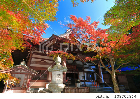 【福岡県】晴天の天王院本堂の紅葉（呑山観音寺） 108702854