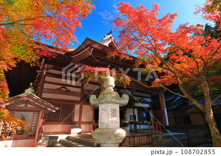 【福岡県】晴天の天王院本堂の紅葉（呑山観音寺） 108702855