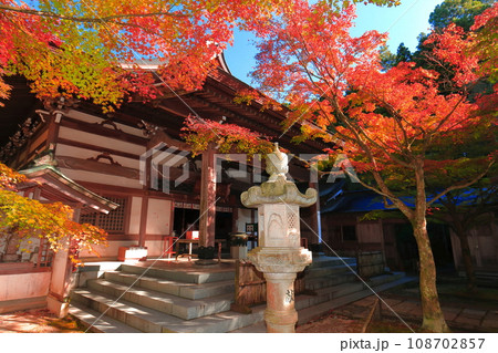 【福岡県】晴天の天王院本堂の紅葉(呑山観音寺) 【福岡県】晴天の天王院本堂の紅葉(呑山観音寺) 108702857