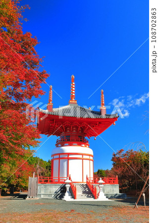 【福岡県】晴天の呑山観音寺の瑜祇大宝塔の紅葉 【福岡県】晴天の呑山観音寺の瑜祇大宝塔の紅葉 108702863