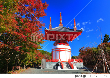 【福岡県】晴天の呑山観音寺の瑜祇大宝塔の紅葉 108702869