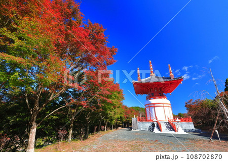 【福岡県】晴天の呑山観音寺の瑜祇大宝塔の紅葉 【福岡県】晴天の呑山観音寺の瑜祇大宝塔の紅葉 108702870