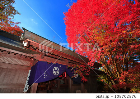 【福岡県】呑山観音寺の極楽往生院の紅葉 108702876
