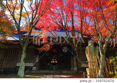 【福岡県】呑山観音寺の極楽往生院の紅葉 108702878