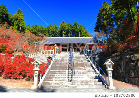 【福岡県】晴天の呑山観音寺の百観音堂のドウダンツツジ 108702880