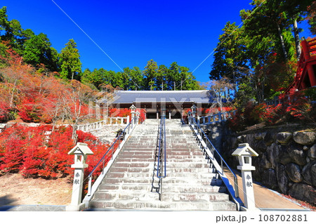 【福岡県】晴天の呑山観音寺の百観音堂のドウダンツツジ 108702881