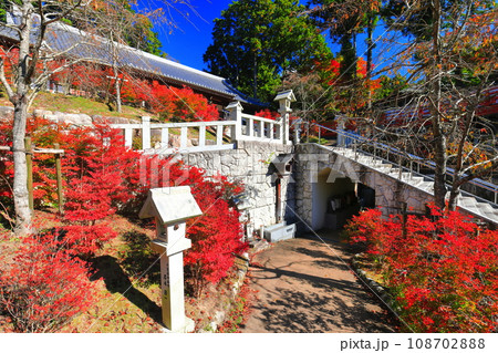 【福岡県】晴天の呑山観音寺の百観音堂のドウダンツツジ 108702888