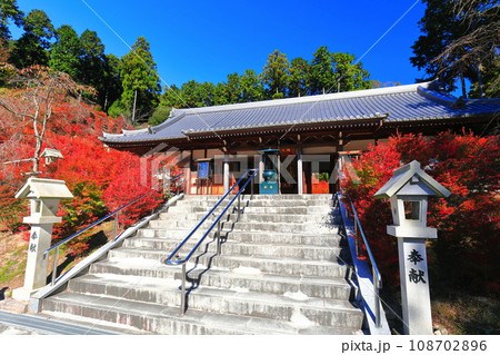 【福岡県】晴天の呑山観音寺の百観音堂のドウダンツツジ 108702896