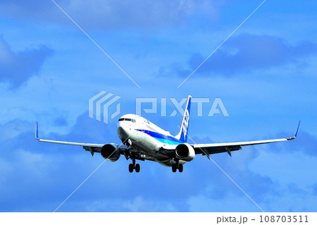 大阪国際空港　ANA　飛行機　着陸態勢　千里川尻 108703511