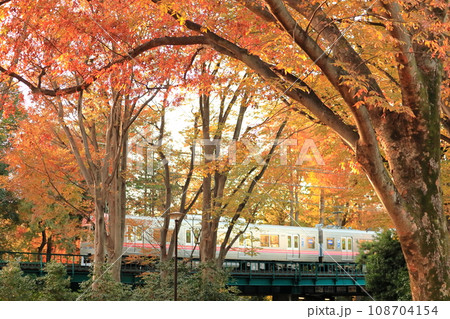 井の頭線 井の頭線 108704154