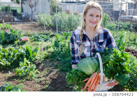 Farmer woman with a harvest of cabbage, carrots and onions from the garden Farmer woman with a harvest of cabbage, carrots and onions from the garden 108704421