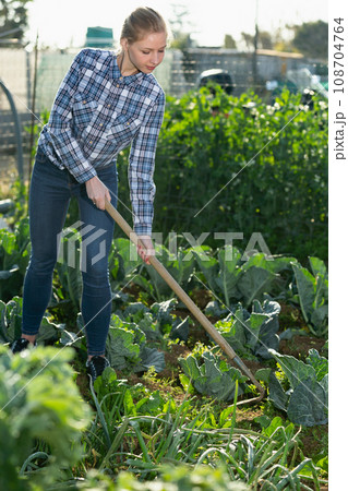 Female working with tool on beds Female working with tool on beds 108704764