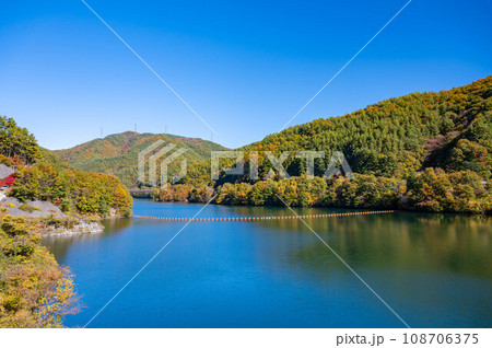 秋の箕輪ダム　もみじ湖 108706375