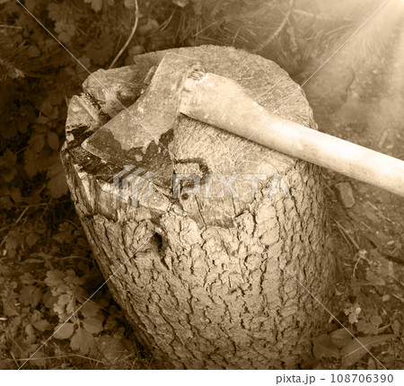 A bloody ax lies on a stump 108706390