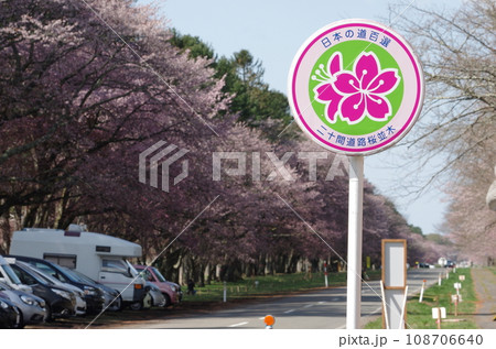 二十間道路桜並木　日本の道百選の看板 108706640