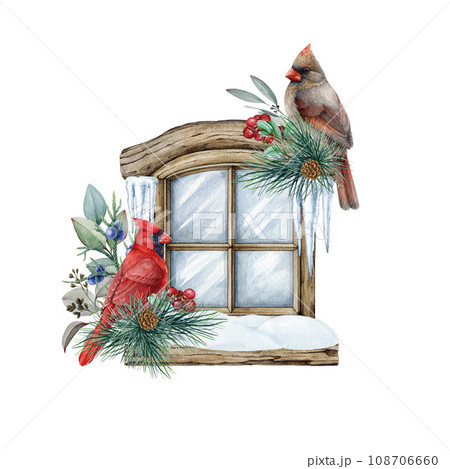 Winter decoration with red cardinal birds on the window. Watercolor illustration. Hand drawn vintage style snowy window, pine branches, berries and couple of red cardinal birds. Winter cozy decor 108706660