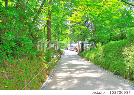 東北・平泉・関山の中尊寺、本堂から金色堂の間をつなぐ参道の様子・岩手県平泉町(1) 108706957