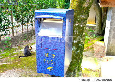 東北・平泉・関山の中尊寺、本堂から金色堂の参道にある郵便ポストと猫の平和な光景・岩手県平泉町(1) 東北・平泉・関山の中尊寺、本堂から金色堂の参道にある郵便ポストと猫の平和な光景・岩手県平泉町(1) 108706960