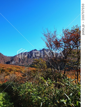 烏ヶ山と紅葉する木谷ブナ林 烏ヶ山と紅葉する木谷ブナ林 108707050