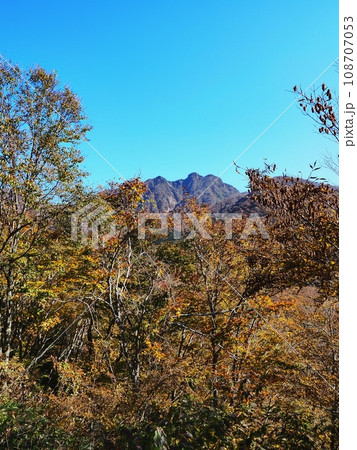 烏ヶ山と紅葉する木谷ブナ林 烏ヶ山と紅葉する木谷ブナ林 108707053