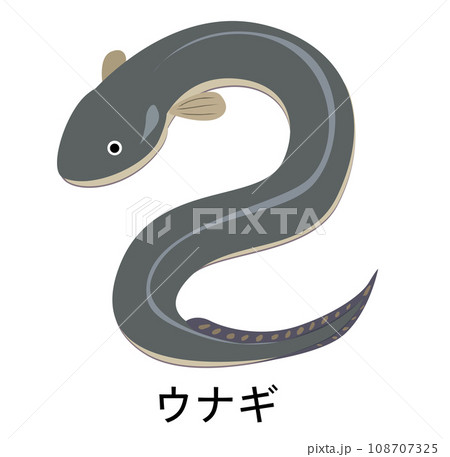 ウナギのイラスト 108707325