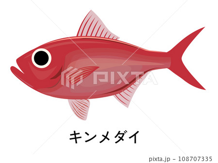 キンメダイのイラスト 108707335