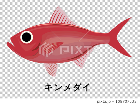 キンメダイのイラスト 108707335