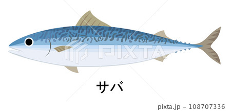 サバのイラスト 108707336