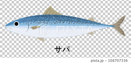 サバのイラスト 108707336