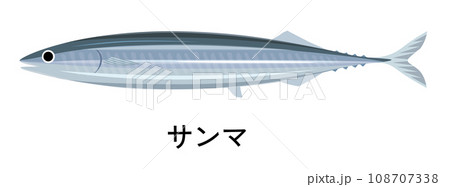 サンマのイラスト 108707338