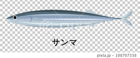 サンマのイラスト 108707338