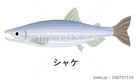 シャケのイラスト 108707339