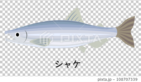 シャケのイラスト 108707339
